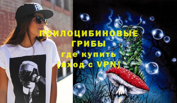 бошки Каменногорск