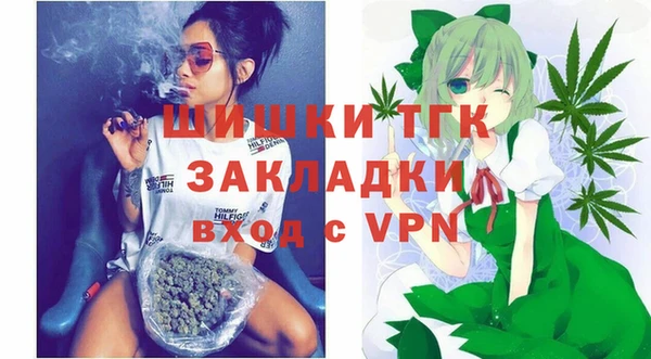 бошки Каменногорск