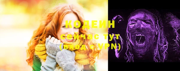 бошки Каменногорск