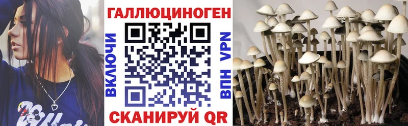 Псилоцибиновые грибы Psilocybe Астрахань